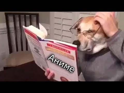 peanut butter bread strain